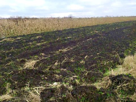 участок по адресу 