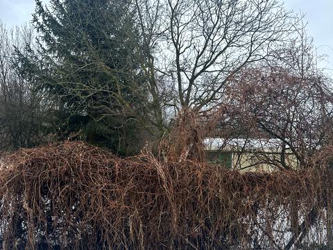 ділянка за адресою 