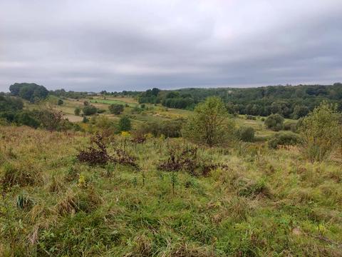 ділянка за адресою 