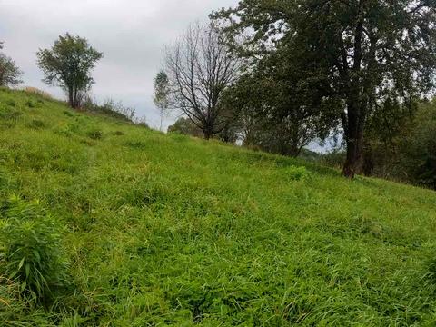 ділянка за адресою 