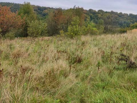 ділянка за адресою 