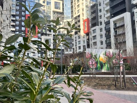 квартира за адресою Спортивна вул., 3/2