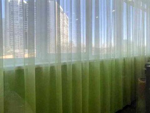 квартира за адресою Євгена Коновальця вул. (Щорса), 36-Е