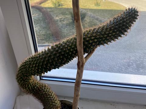 квартира по адресу Джерельная ул., 32