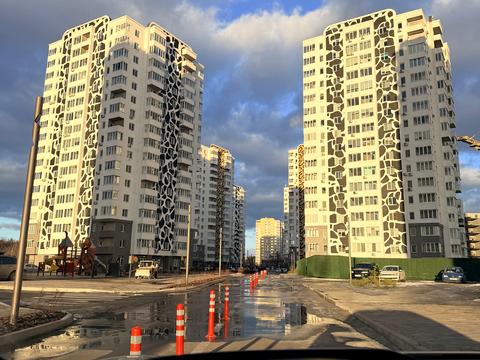 квартира по адресу Павла Чубинского ул., (Корпус «Тигр 2»)