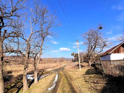 будинок за адресою с. Дев'ятники, Лісова