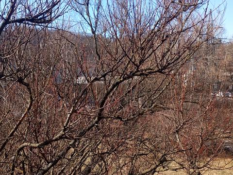 квартира за адресою Володимира Сальського вул. (Котовського), 33