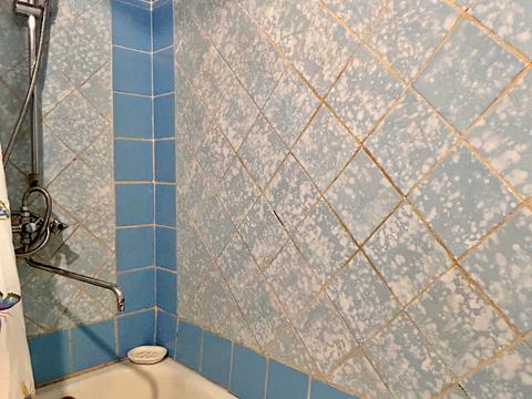 квартира за адресою Митрополита Андрея Шептицького вул. (Анатолія Луначарського), 24