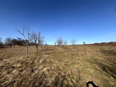 будинок за адресою с. Оріховиця, Оріхова, 47