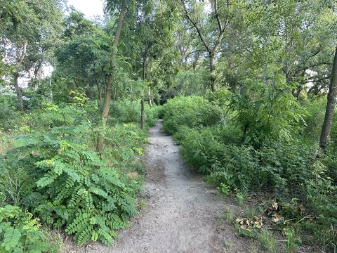 квартира за адресою Дніпровська набережна вул., 17-К