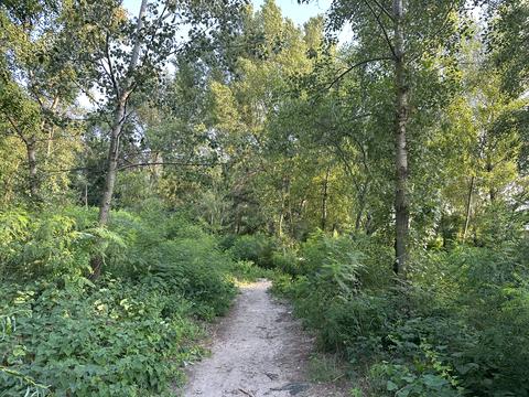 квартира за адресою Дніпровська набережна вул., 17-К