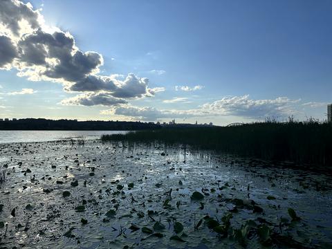 квартира за адресою Дніпровська набережна вул., 17-К