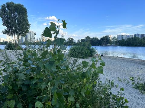 квартира за адресою Дніпровська набережна вул., 17-К