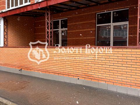 коммерческая по адресу Ревуцкого ул., 9