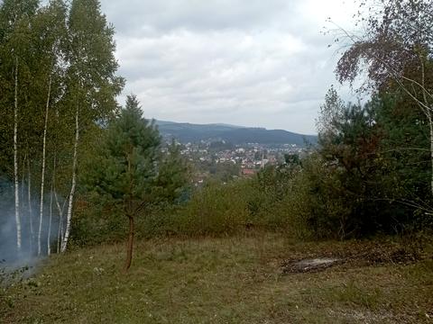 участок по адресу Івана Франка ул.