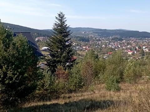 участок по адресу Івана Франка ул.