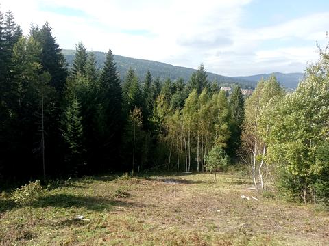 участок по адресу Івана Франка ул.