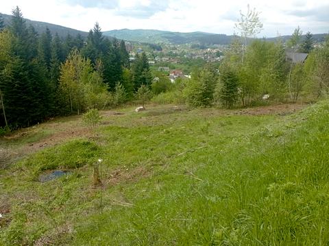 участок по адресу Івана Франка ул.