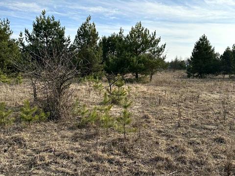 ділянка за адресою с. Ясногородка, Західна вул.