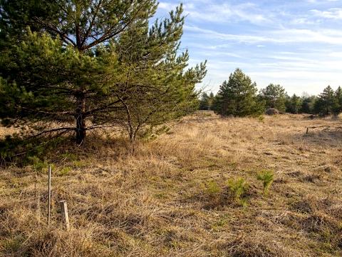 ділянка за адресою с. Ясногородка, Західна вул.