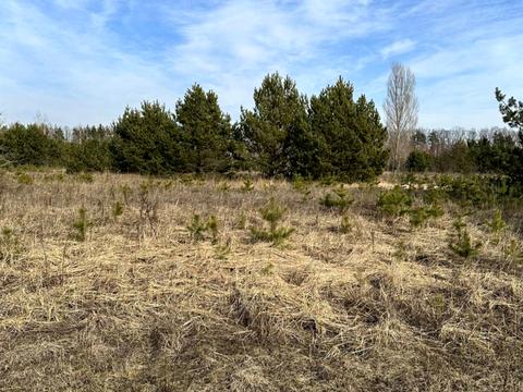 ділянка за адресою с. Ясногородка, Західна вул.