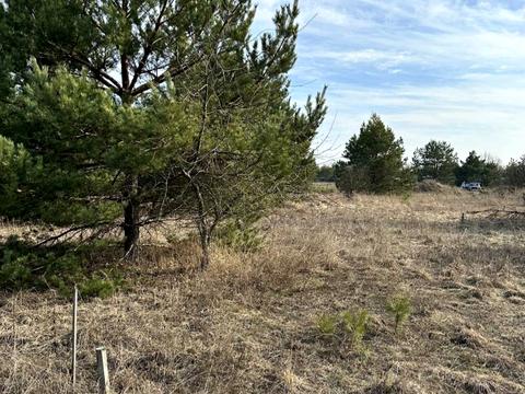 ділянка за адресою с. Ясногородка, Західна вул.