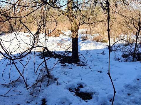 будинок за адресою Культурна