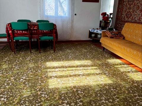 будинок за адресою Центральна, 6