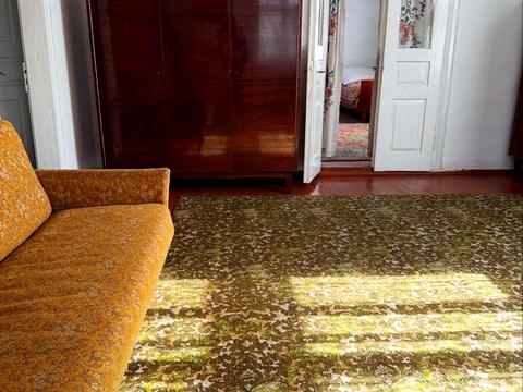 будинок за адресою Центральна, 6