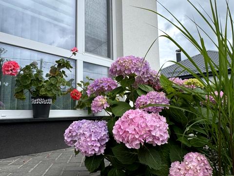 будинок за адресою зелена