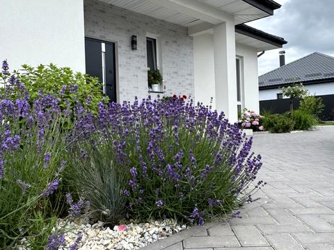 будинок за адресою зелена