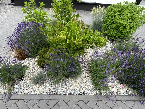 будинок за адресою зелена