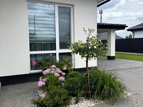 будинок за адресою зелена