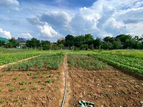 будинок за адресою Головна