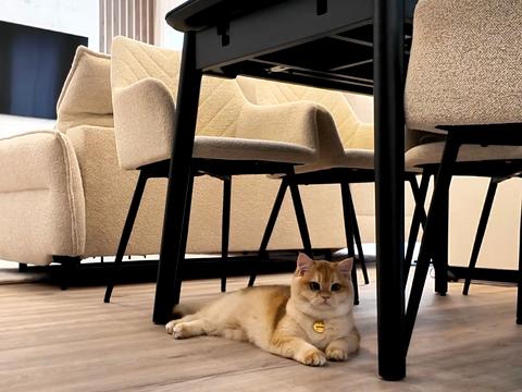 дом по адресу с. Крюковщина,  ул., 12