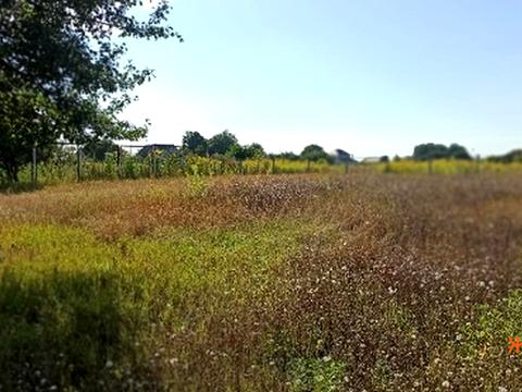 участок по адресу Володимирська, 76