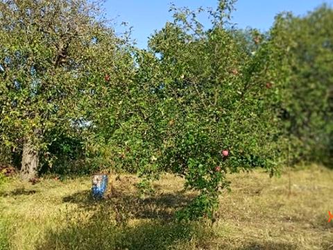 участок по адресу Володимирська, 76