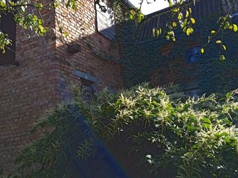 будинок за адресою с. Семенівка, Шевченка