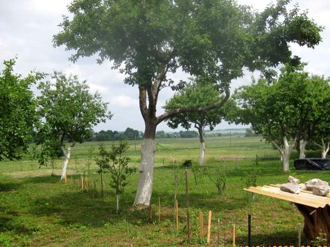 будинок за адресою с. Семенівка, Шевченка