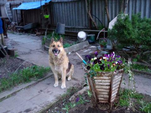 будинок за адресою Бульварна вул. (Рози Люксембург)