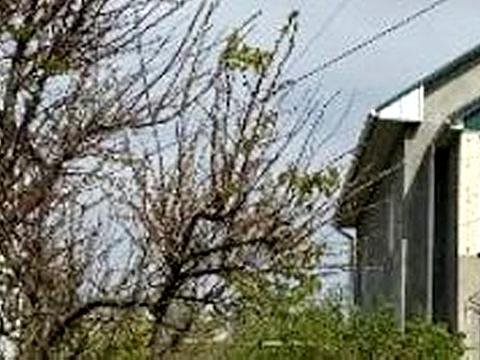 дом по адресу Шоссейная ул. (Фрунзе), 85