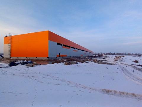 коммерческая по адресу с. Требухов, Броварська ул., 23