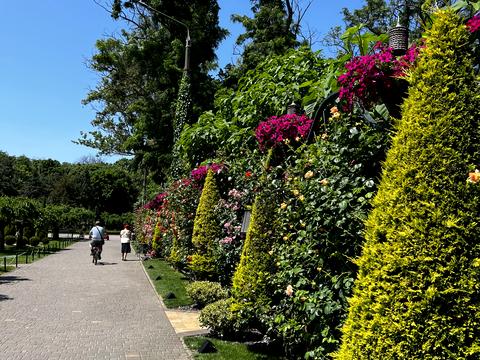 квартира за адресою Євгена Танцюри вул., 5