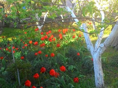 будинок за адресою 1-ша Піщана вул., 27