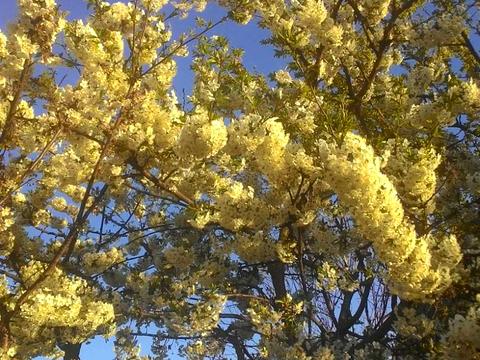 будинок за адресою 1-ша Піщана вул., 27