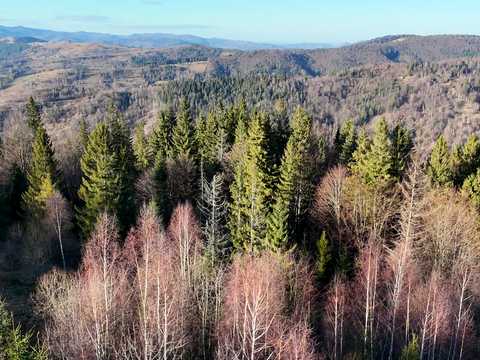 ділянка за адресою Лесі Українки
