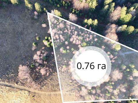 участок по адресу Лесі Українки