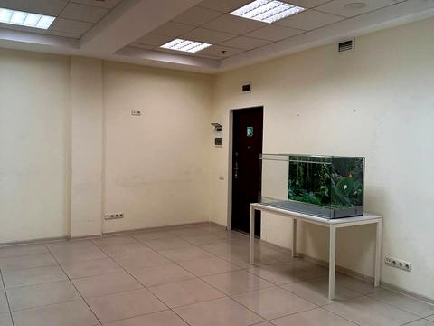 комерційна за адресою Антоновича вул. (Горького), 172