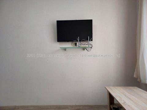 1859178310663036