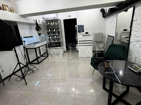 комерційна за адресою Велика Васильківська вул. (Червоноармійська), 6